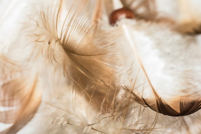 The Angel in My Hand: A Mysterious Moment that Changed My Spiritual Path